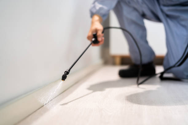 Bed Bug Pre-Treatment Preparation Assessment in Loganville